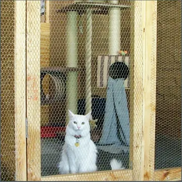White long-haired cat sitting in its mesh-fronted suite with cat trees behind