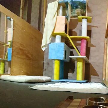Cattery playroom with cat towers, soft bedding and framed art