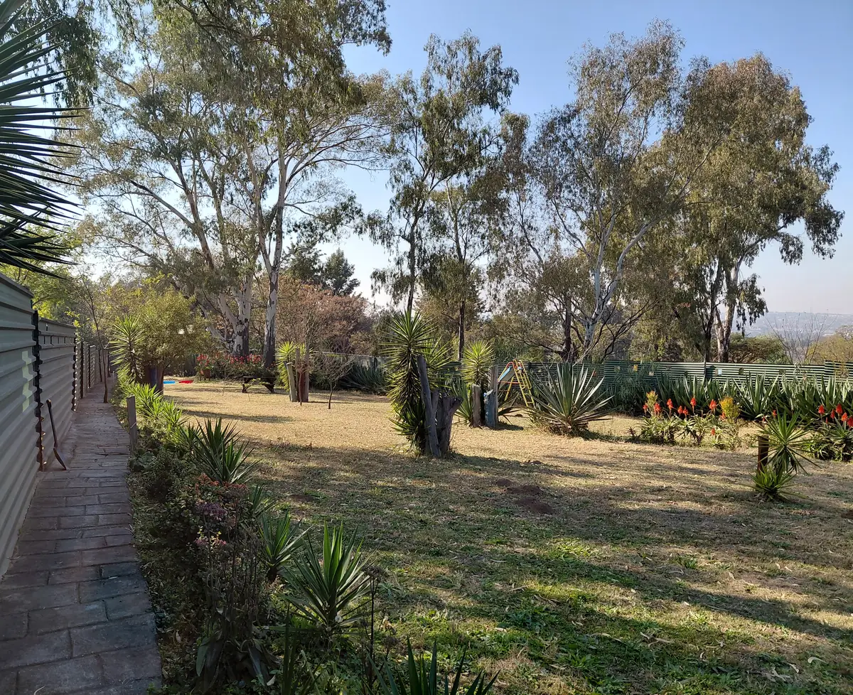 Fenced play area with aloes in flower, lawns and play equipment under gum trees
