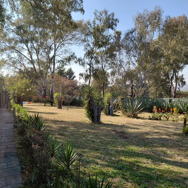 Fenced play area with aloes in flower, lawns and play equipment under gum trees