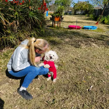 Carer playing with a small white dog in a red jersey on the play-area lawn