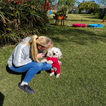 Carer playing with a small white dog in a red jersey on the play-area lawn