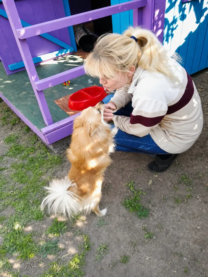 Carer sharing a nose-to-nose moment with a fluffy Pomeranian outside its cabin