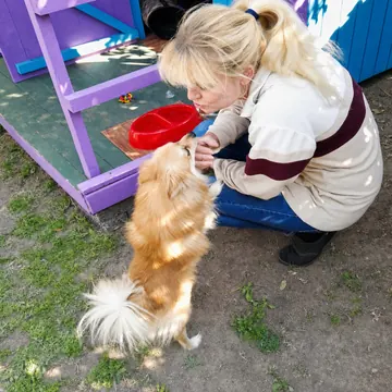 Carer sharing a nose-to-nose moment with a fluffy Pomeranian outside its cabin