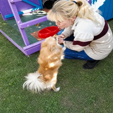 Carer sharing a nose-to-nose moment with a fluffy Pomeranian outside its cabin