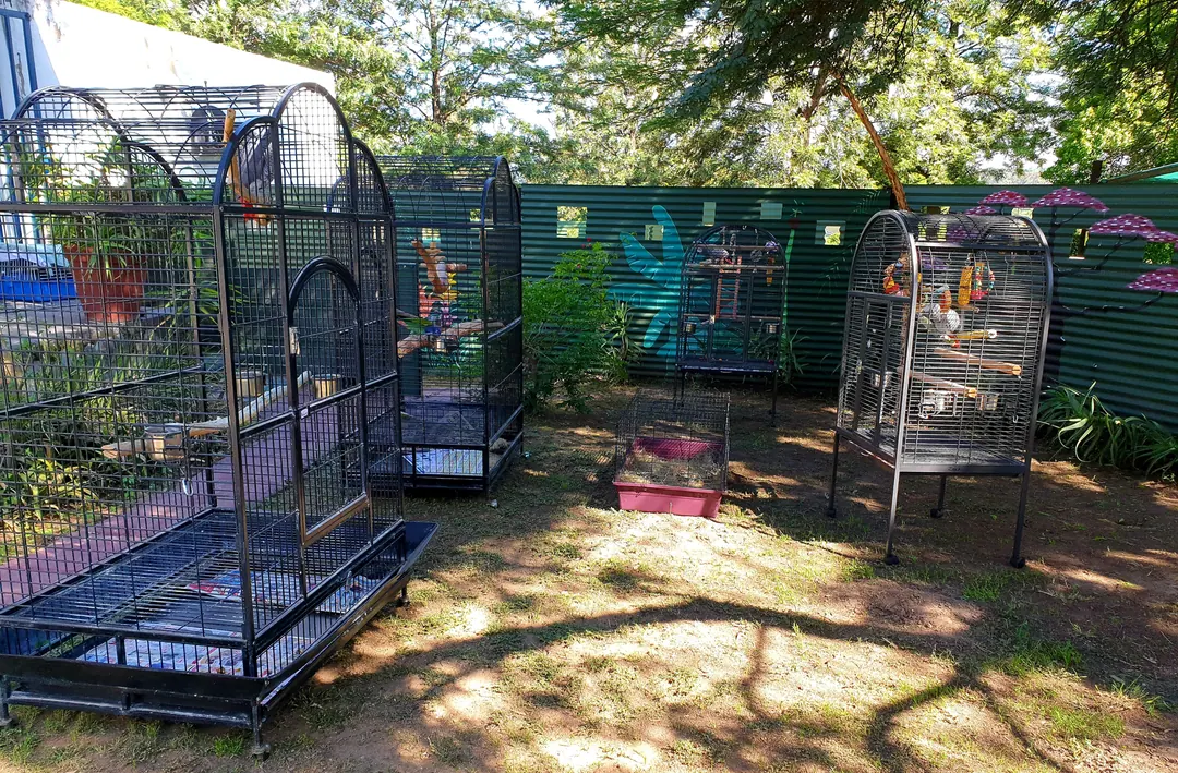 Parrot cages spaced beneath established trees in the dedicated garden at Purrfect