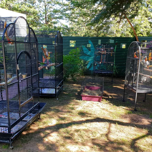 Individual bird cages positioned in Purrfect's shaded parrot garden
