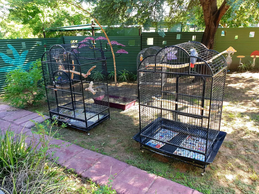 Individual parrot cages arranged in the shade of Purrfect's dedicated bird garden